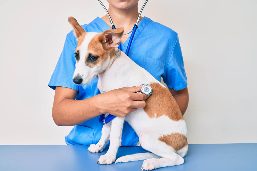Preventative Care